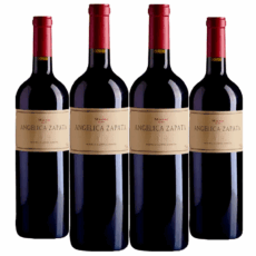 Angelica Zapata Malbec Alta