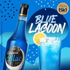 Bid Blue Curacao  720 ml