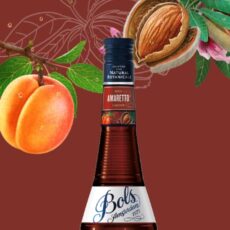 Bols Amaretto De 700ml
