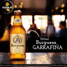 Burguesa Bot 300ml Descartable