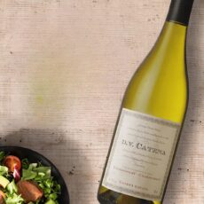 D.V.Catena Chardonnay-Chardonnay