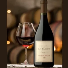 D.V.Catena Pinot Noir