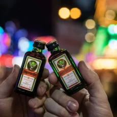 Jagermeister MINI 50 ml