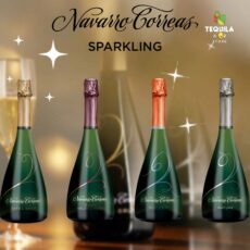 Navarro Correa Extra Brut 750