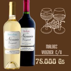 Nicasia Malbec
