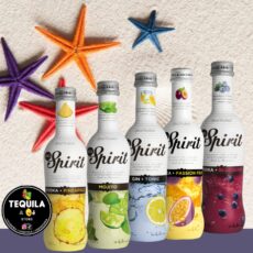 MG SPIRITS BLUEBERRY  RTD bot 275ml