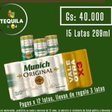 MUNICH ORIGINAL Pack x 15 latas 269ml