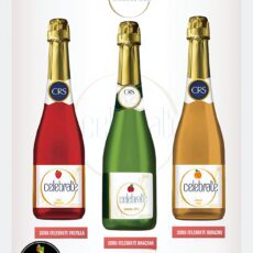 Sidra Celebrate Frutilla 600ml